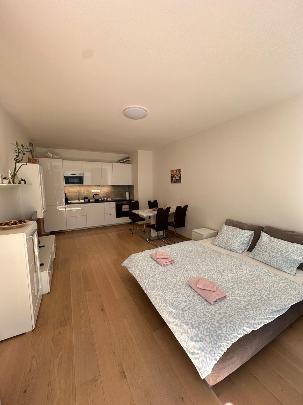 Diamond On Wenceslas Square Apartment *